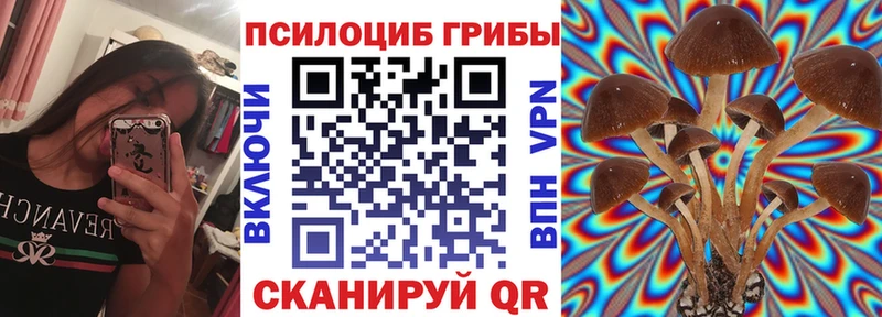 Галлюциногенные грибы Cubensis  Салават 